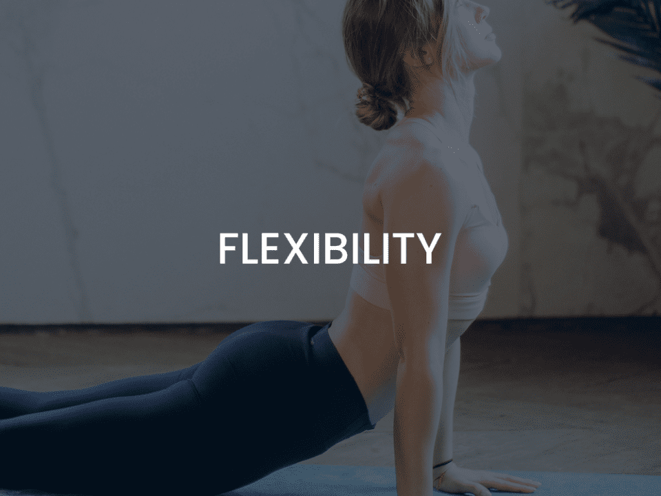Flexibility - Mobile Trainers