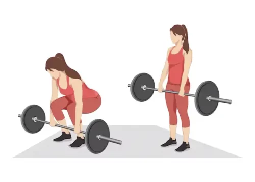 Barbell Deadlift