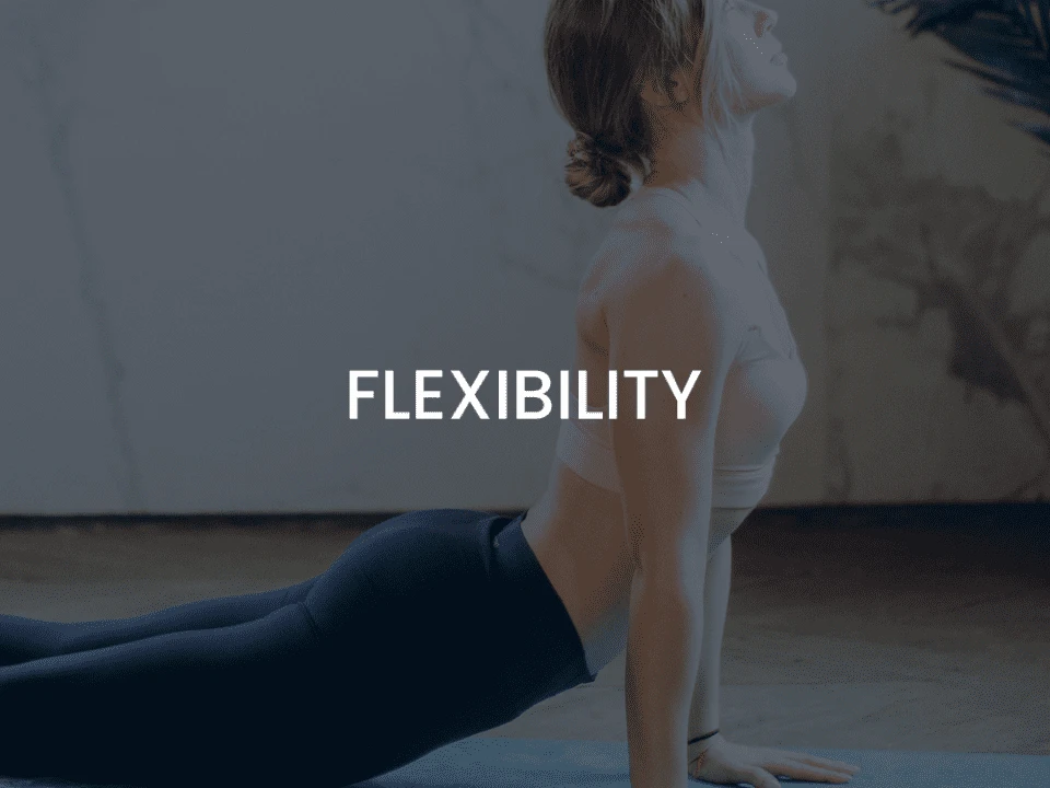 Flexibility - Mobile Trainers