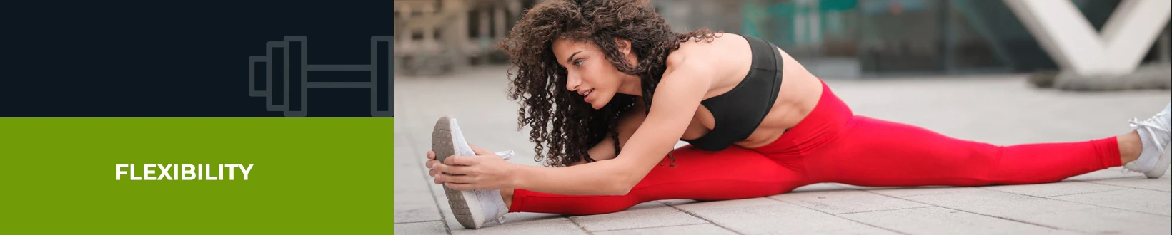 Flexibility - Mobile Trainers