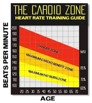 Heart Rate Chart For Belly Fat Burn