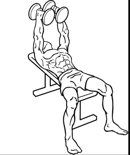 Dumbbell Chest Fly - Best Chest Exercises For Men