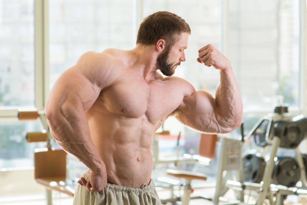 How to Gain Bulk and Build Muscle Mass with a Perfect Diet Plan